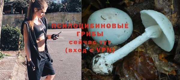 трава Алексин